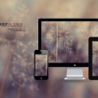 word2010是哪个公司开发的文字处理软件